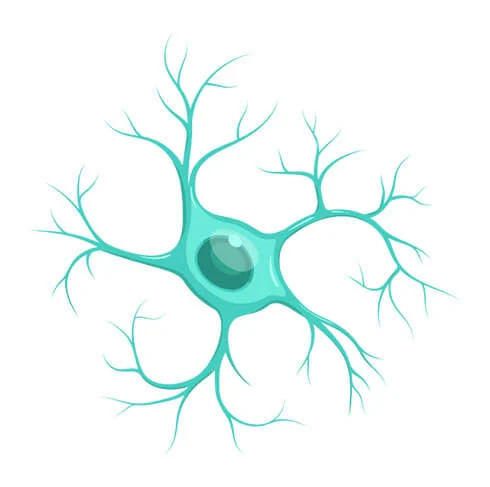 Advanced Memory Formula